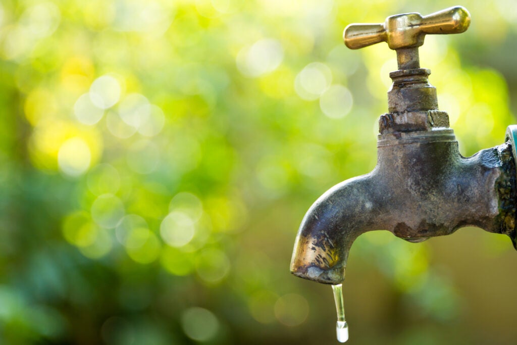 Brass water tap with nature in background.